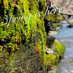 Spring cleaning 🌷